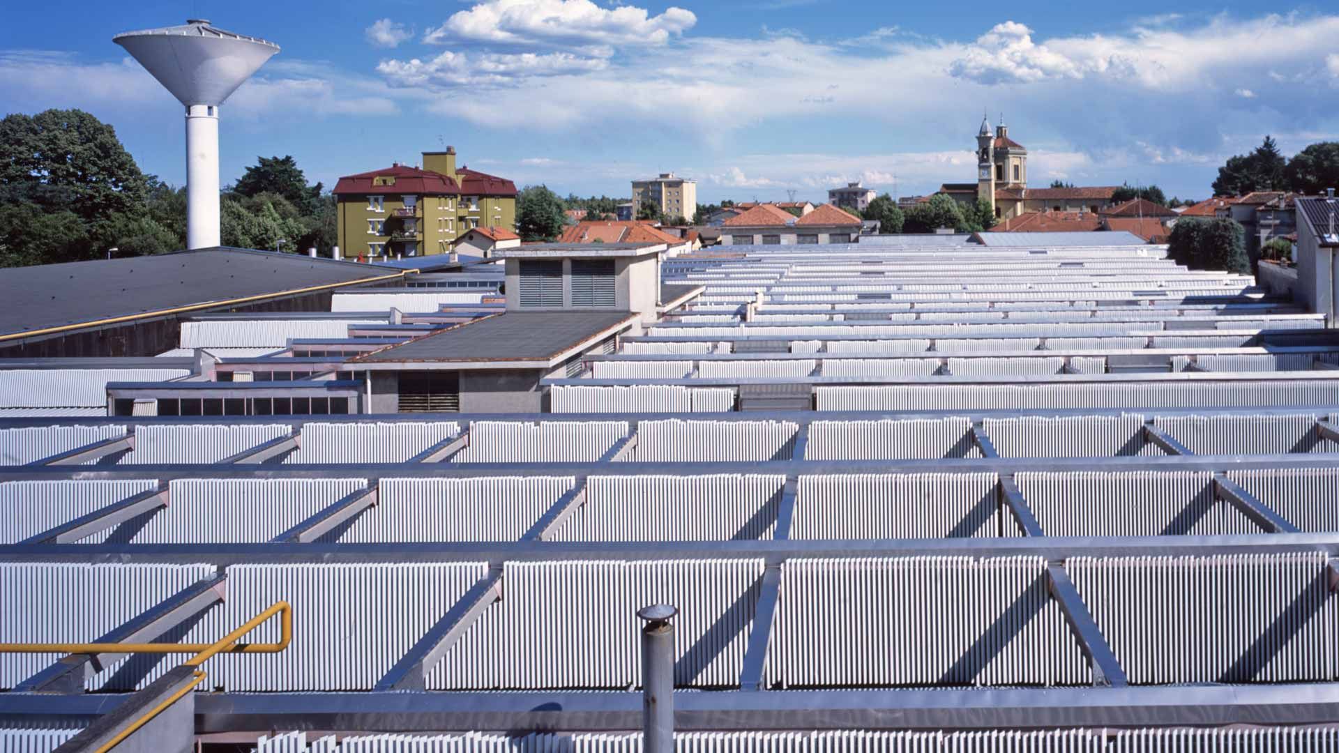 Rivolta Carmignani particolare della struttura